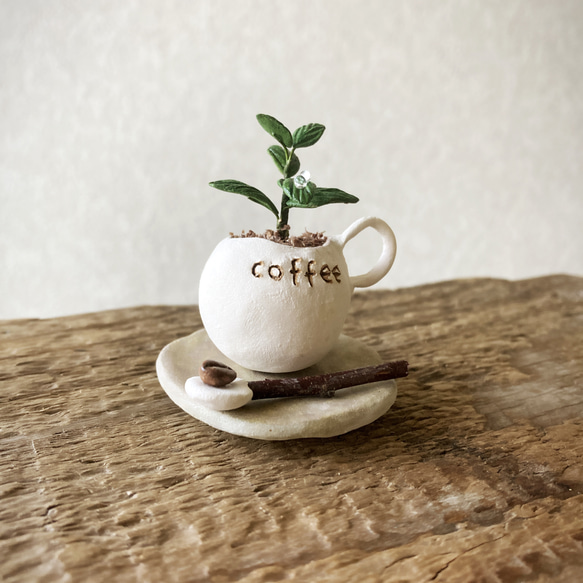 8718.bud 粘土の鉢植え コーヒーの木セット 4枚目の画像