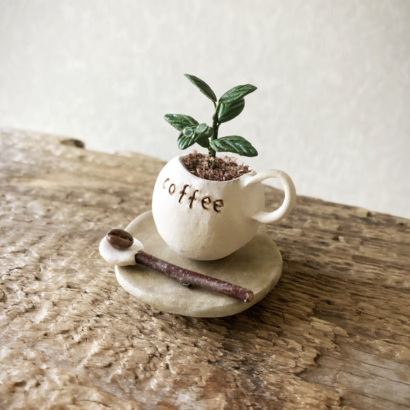 8718.bud 粘土の鉢植え コーヒーの木セット 2枚目の画像