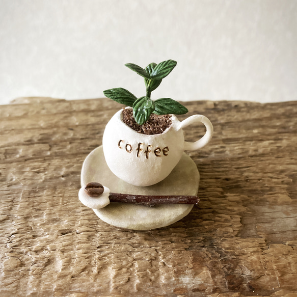 8718.bud 粘土の鉢植え コーヒーの木セット 3枚目の画像