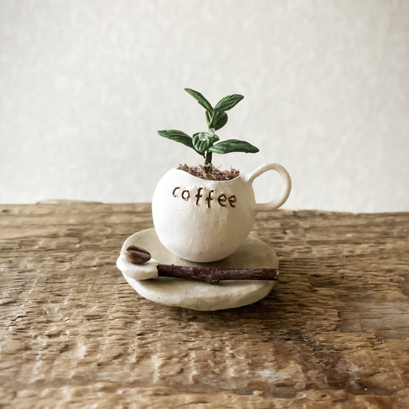 8718.bud 粘土の鉢植え コーヒーの木セット 1枚目の画像