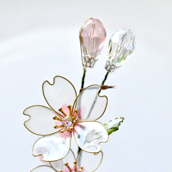 ■受注制作【植物標本 S】さくら 5枚目の画像