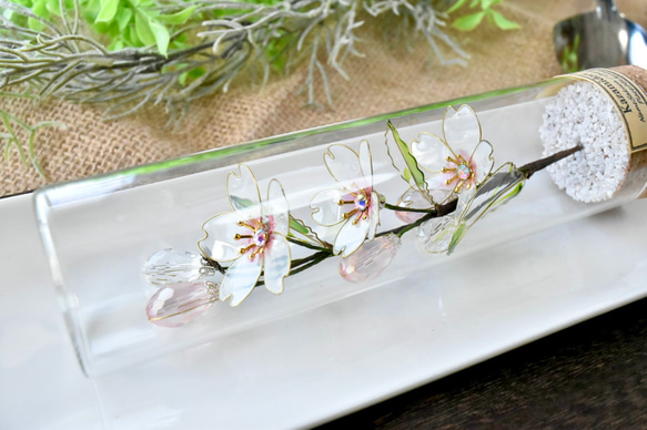 ■受注制作【植物標本 S】さくら 7枚目の画像