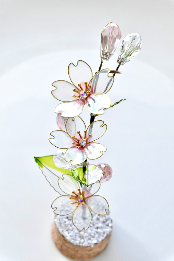 ■受注制作【植物標本 S】さくら 4枚目の画像