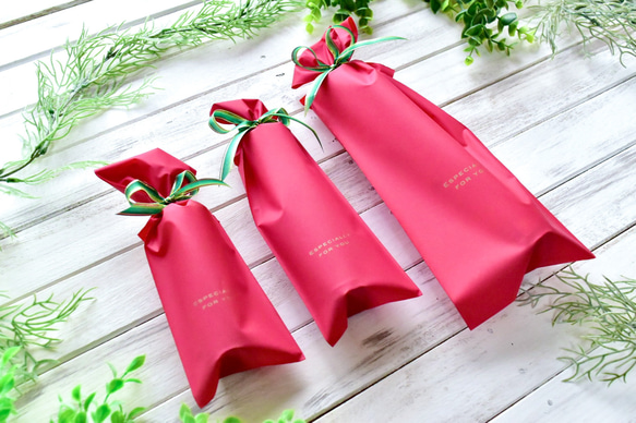 ■受注制作【植物標本 S】さくら 9枚目の画像