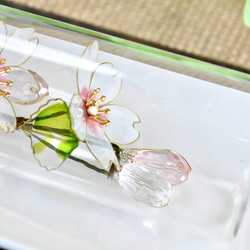 ■受注制作【植物標本 S】さくら 8枚目の画像