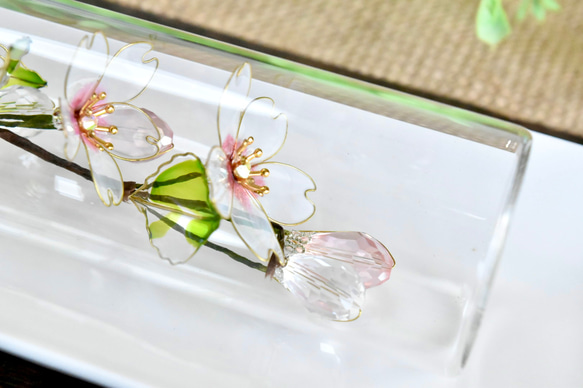 ■受注制作【植物標本 S】さくら 8枚目の画像