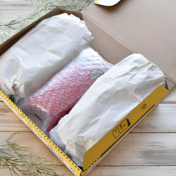 ■受注制作【植物標本 S】さくら 11枚目の画像