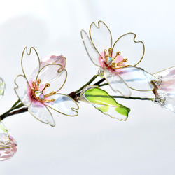 ■受注制作【植物標本 S】さくら 2枚目の画像