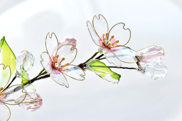 ■受注制作【植物標本 S】さくら 2枚目の画像