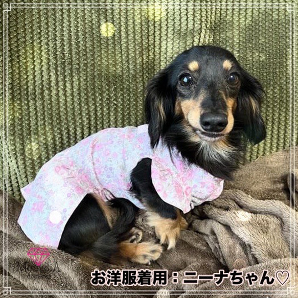 【小型犬用犬服】後ろのリボンがかわいすぎる♡スラッシュ開きの花畑ワンピース⭐︎ 10枚目の画像