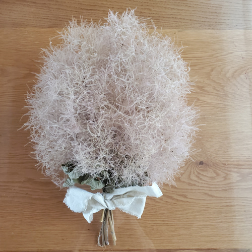 スモークツリーのスワッグ☆ピンクベージュ色 スワッグ GREEN ROSE