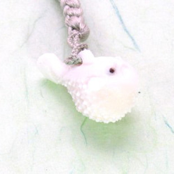 宝石珊瑚　さんご　ネックレス・ペンダント  アクセサリー・ジュエリ　cw－0417 3枚目の画像