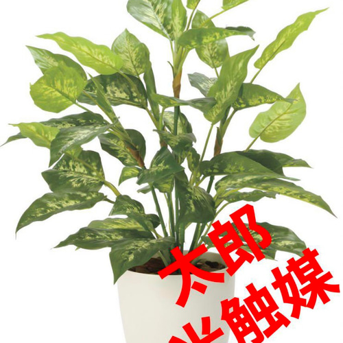 光触媒 人工観葉植物 フェイクグリーン フレッシュ