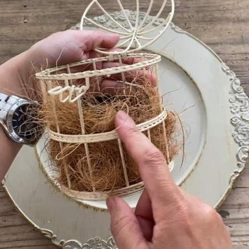 木漏れ日の鳥かご』寄せ植えセット 多肉植物 多肉寄せ植え 多肉植物 は