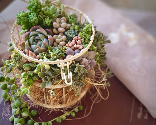 b16dc98fdcdf71aa7af56859051af7