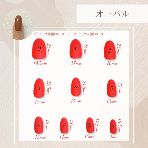 サイズ確認用ネイルチップ ネイルチップ（つけ爪） Chapuu Nail