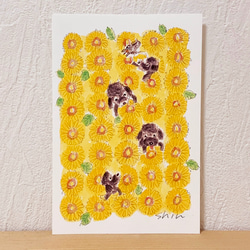 SummerPostcard4枚SET 4枚目の画像