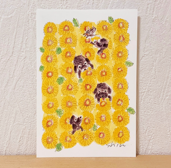 SummerPostcard4枚SET 4枚目の画像