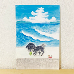 SummerPostcard4枚SET 2枚目の画像