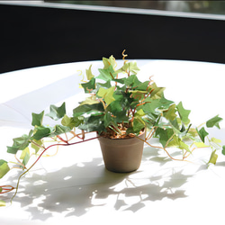 光触媒　人工観葉植物　ウォールグリーン　フェイクグリーン　アイビーポットajt 3枚目の画像