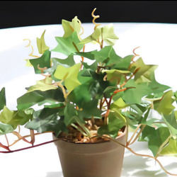 光触媒　人工観葉植物　ウォールグリーン　フェイクグリーン　アイビーポットajt 4枚目の画像
