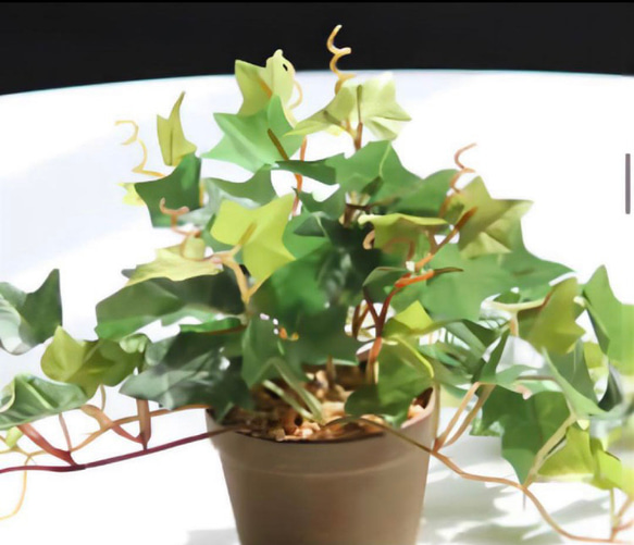 光触媒　人工観葉植物　ウォールグリーン　フェイクグリーン　アイビーポットajt 4枚目の画像
