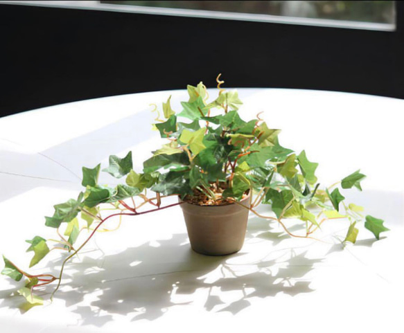 光触媒　人工観葉植物　ウォールグリーン　フェイクグリーン　アイビーポットajt 6枚目の画像