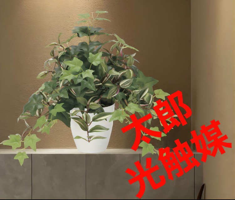 光触媒 人工観葉植物 フェイクグリーン プレミアム胡蝶蘭5本立w 光触媒 人工観葉植物 フェイクグリーン プレミアム胡蝶蘭5本立w