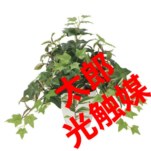 光触媒 人工観葉植物 ウォールグリーン フェイクグリーン ミックス