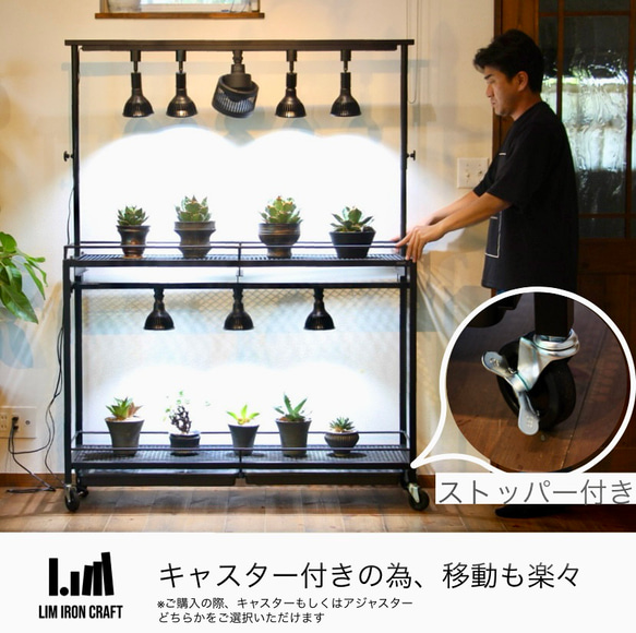 アガベ、塊根に特化した水受けトレー付き植物棚　ボタニカルシェルフ　ライトレール アガベ これにより