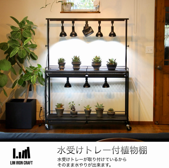 アガベ、塊根に特化した水受けトレー付き植物棚 ボタニカル アガベ、塊根に特化した水受けトレー付き植物棚 ボタニカル