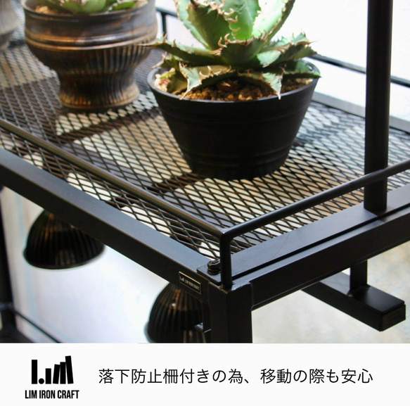 アガベ、塊根に特化した水受けトレー付き植物棚　ボタニカルシェルフ　ライトレール アガベ これにより