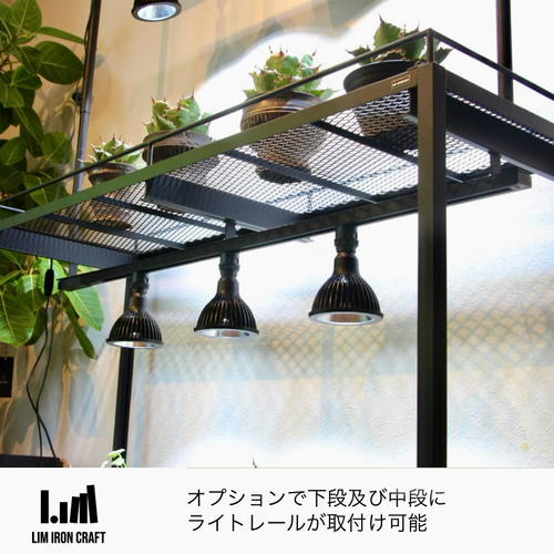 アガベ、塊根に特化した水受けトレー付き植物棚 ボタニカルシェルフ