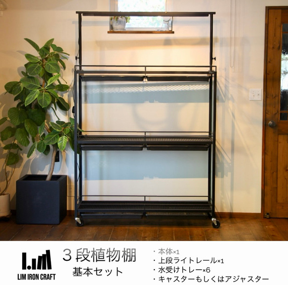 アガベ、塊根に特化した水受けトレー付き植物棚　ボタニカルシェルフ　ライトレール アガベ これにより