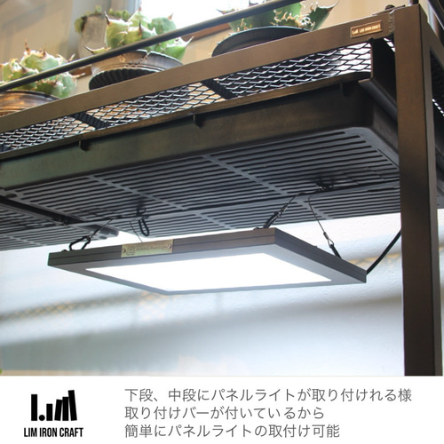 アガベ、塊根に特化した水受けトレー付き植物棚 ボタニカルシェルフ