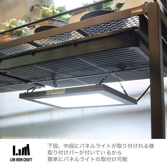 アガベ、塊根に特化した水受けトレー付き植物棚　ボタニカルシェルフ　ライトレール アガベ これにより