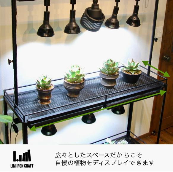 アガベ、塊根に特化した水受けトレー付き植物棚　ボタニカルシェルフ　ライトレール アガベ これにより