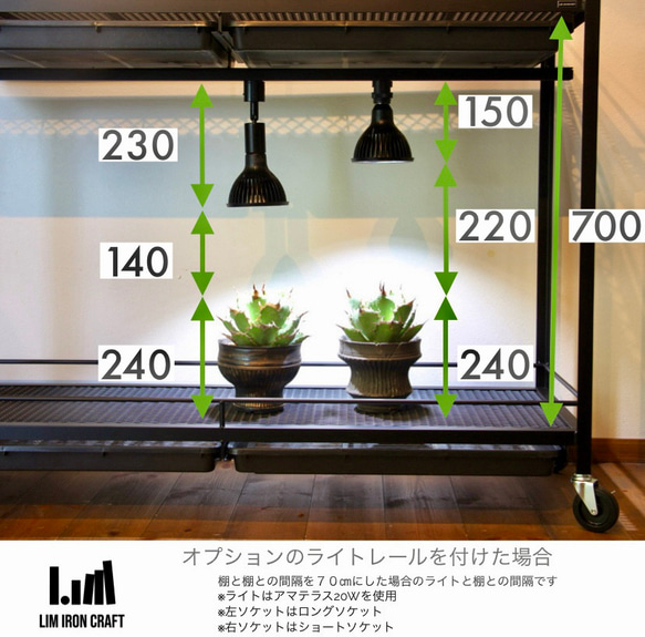 アガベ、塊根に特化した水受けトレー付き植物棚　ボタニカルシェルフ　ライトレール アガベ これにより