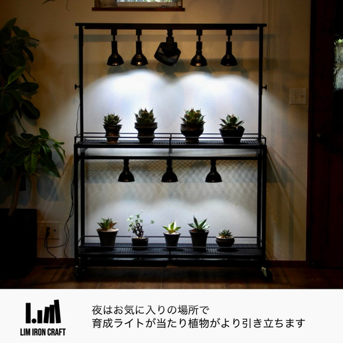 植物棚　アガペシェルフ　メッシュプランターラック　受け皿付き　アガペ　根塊植物 植物棚 メッシュプランターラック 64cm x 40cm 受け皿付き