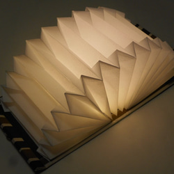お手持ちの生地、ハンカチ、スカーフで、オリジナルのブック型ライト「Shell-Light」強力型を作ります。 3枚目の画像