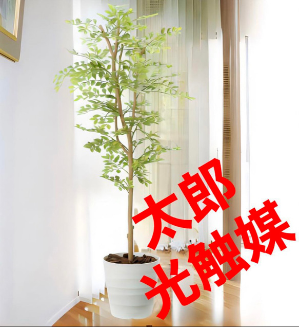 光触媒人工観葉植物ウォールグリーンフェイクグリーンゴールデン