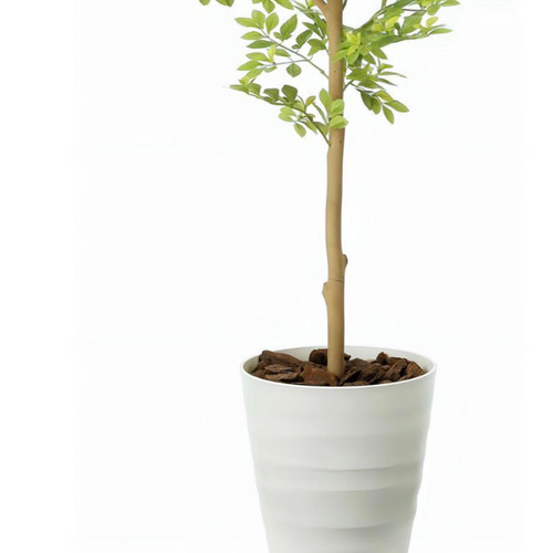 光触媒 人工観葉植物 ウォールグリーン フェイクグリーン ゴールデン