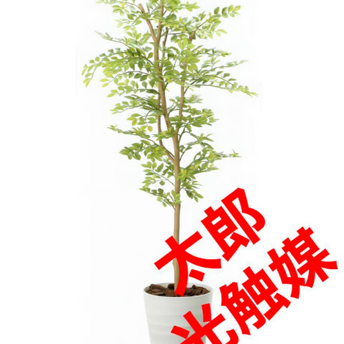 光触媒　人工観葉植物　ウォールグリーン　ゴールデンリーフ1.25m 光触媒 光の楽園 ゴールデンリーフ 高さ 1.25m 【インテリア