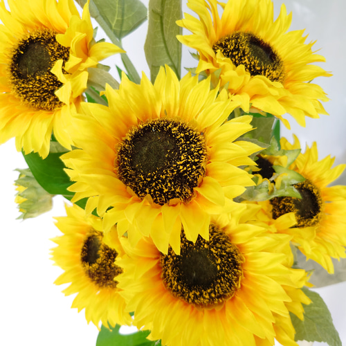 夏の誕生花 ヒマワリのシンプルクラッチブーケ【Bouquet】アーティ