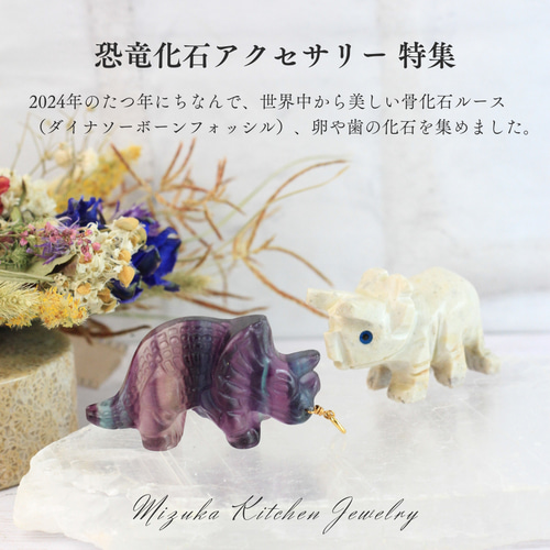 ☆激レア！限定入荷☆太古のロマン☆恐竜の骨の化石『ダイナソー