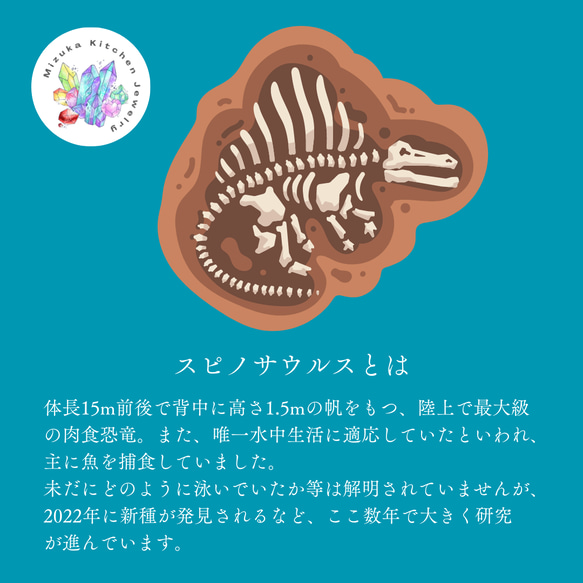 【恐竜の歯】 化石 チャーム　ギャランティーカード付き 2枚目の画像