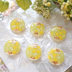 カラージェルとレジンのカボション☆5ペア(計10個) b-5☆送料無料 