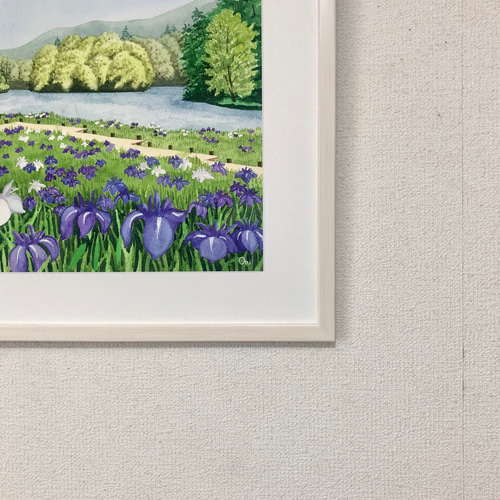 カキツバタの咲く水辺」透明水彩画 原画 風景画 額縁付 F6サイズ