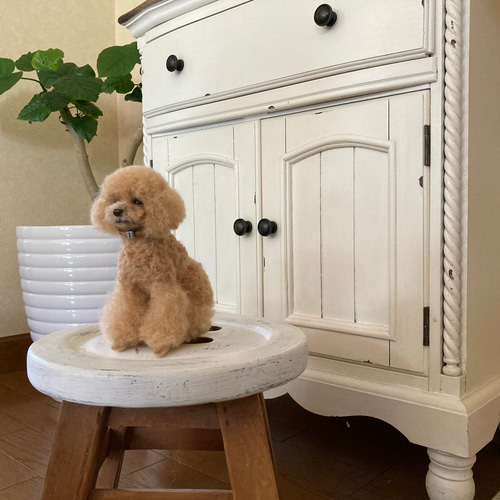 羊毛とプー】❤️スタンダードサイズ❤️ 羊毛フェルト オーダーメイド