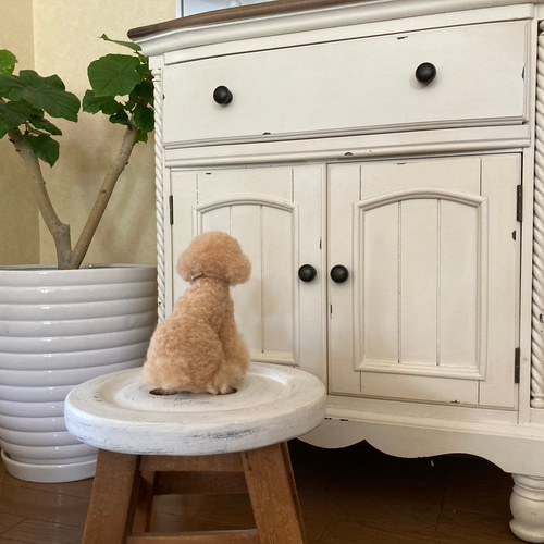 羊毛とプー】❤️スタンダードサイズ❤️ 羊毛フェルト オーダーメイド